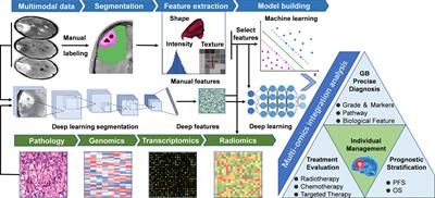 Imaging-Genomics in Glioblastoma: Combining Molecular and Imaging Signatures